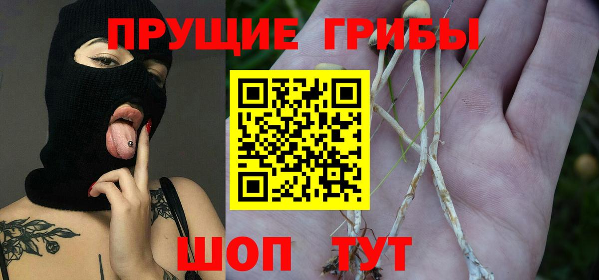 Псилоцибиновые грибы MAGIC MUSHROOMS  Галлюциногенные грибы Psilocybe  Вход с VPN  Батайск 